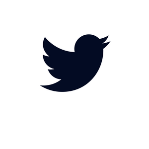 Twitter Twitter